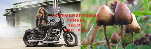 индика Алексеевка
