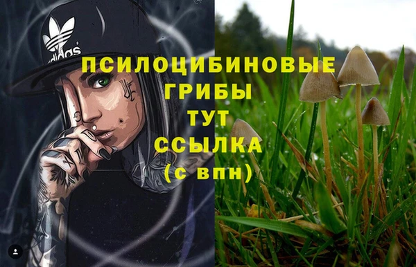 каннабис Алзамай
