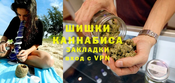 индика Алексеевка