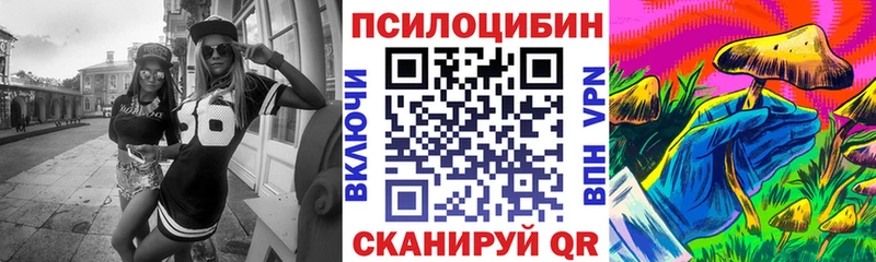 магазин  наркотиков  Лагань  Псилоцибиновые грибы GOLDEN TEACHER 